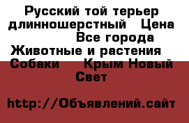 Русский той-терьер длинношерстный › Цена ­ 7 000 - Все города Животные и растения » Собаки   . Крым,Новый Свет